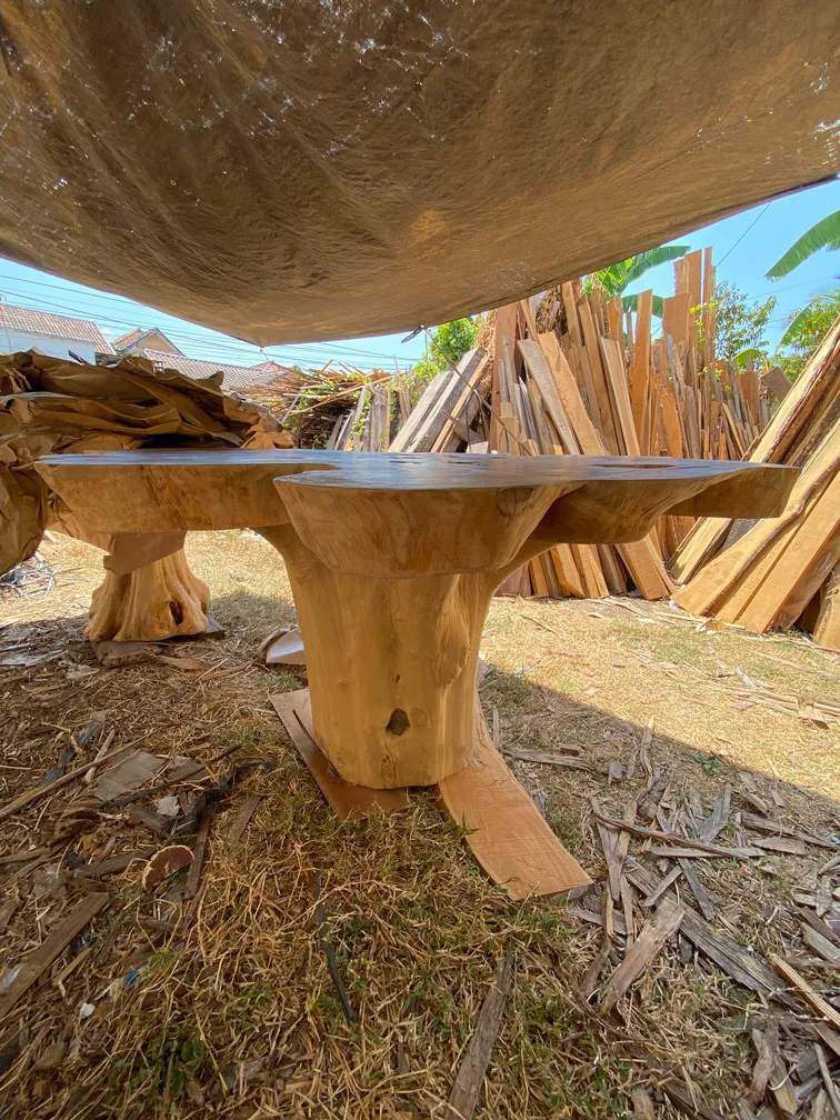 Meja akar kayu dengan permukaan berbentuk alami